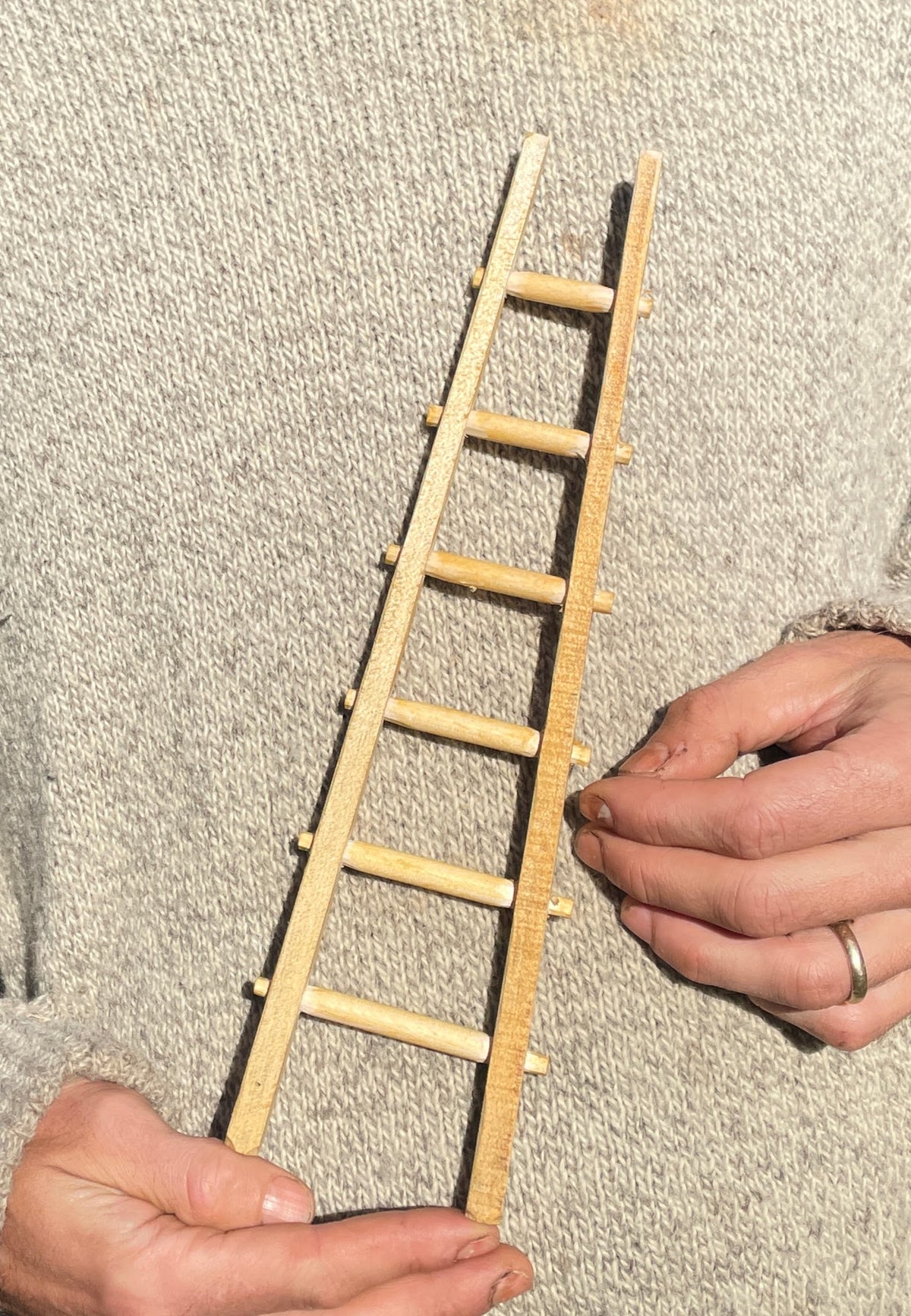 Tiny Ladder (Toy)