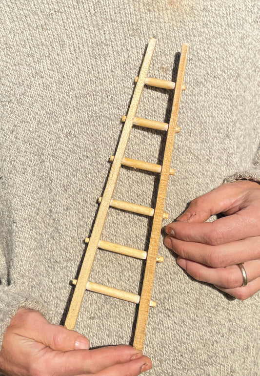 Tiny Ladder (Toy)
